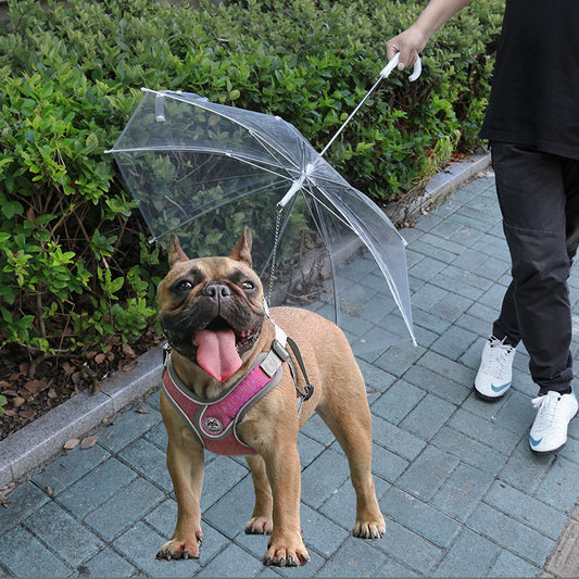 Correa de Paraguas Impermeable para Mascotas