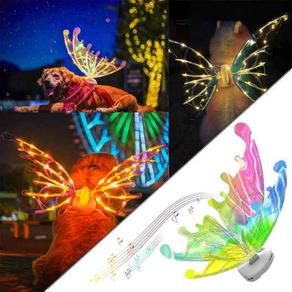DISFRAZ DE MARIPOSA 3D PARA TU MASCOTA
