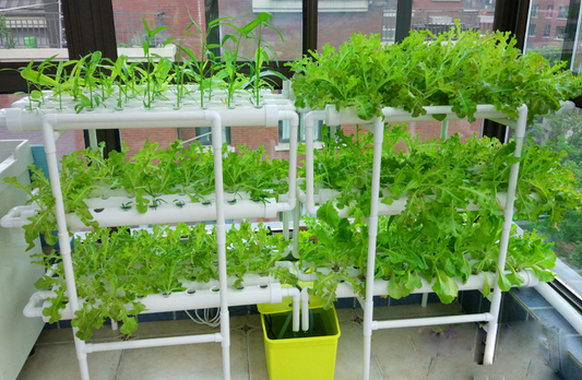 Sistema de Cultivo Hidropónico de Interior – Tecnología de Crecimiento sin Suelo para Huertos Modernos