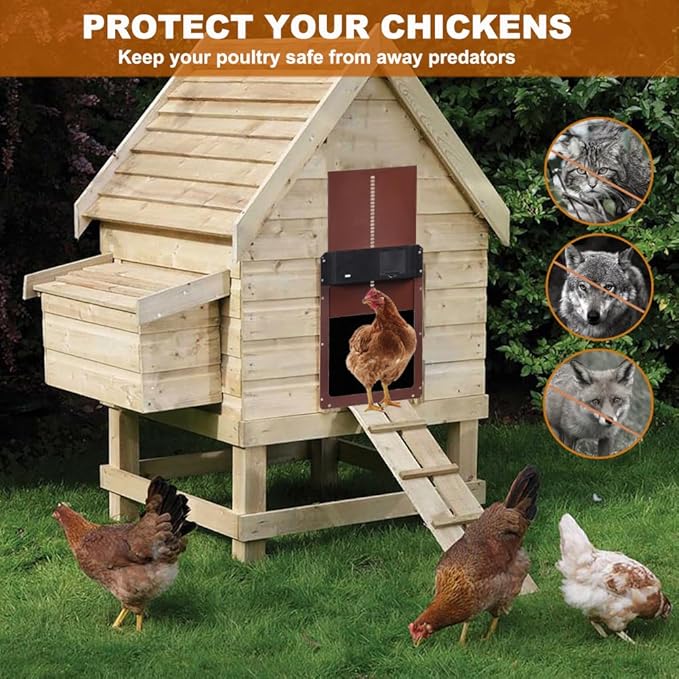 Protección Inteligente para tu Gallinero, Llueva o Truene