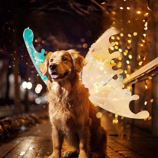 DISFRAZ DE MARIPOSA 3D PARA TU MASCOTA