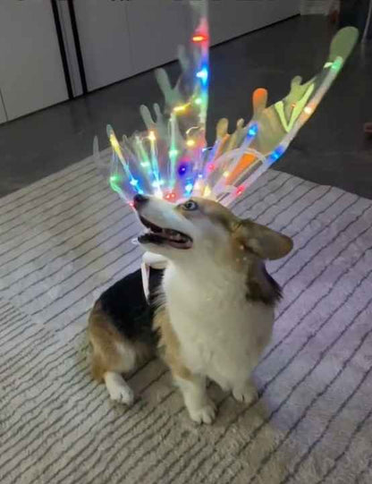 DISFRAZ DE MARIPOSA 3D PARA TU MASCOTA