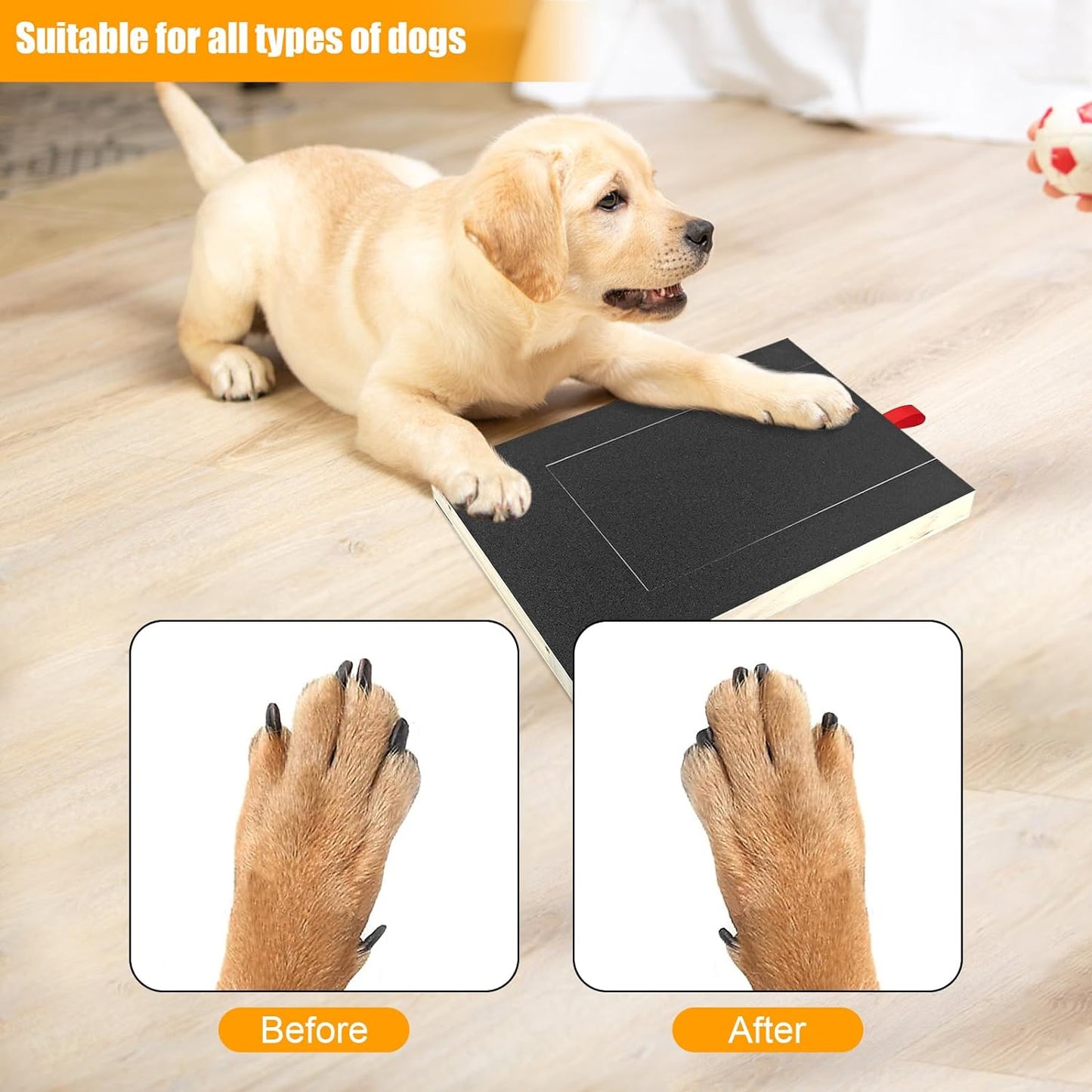 Lima de Uñas Rompecabezas para Perros