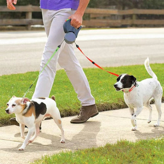Correa para Perros 2 en 1