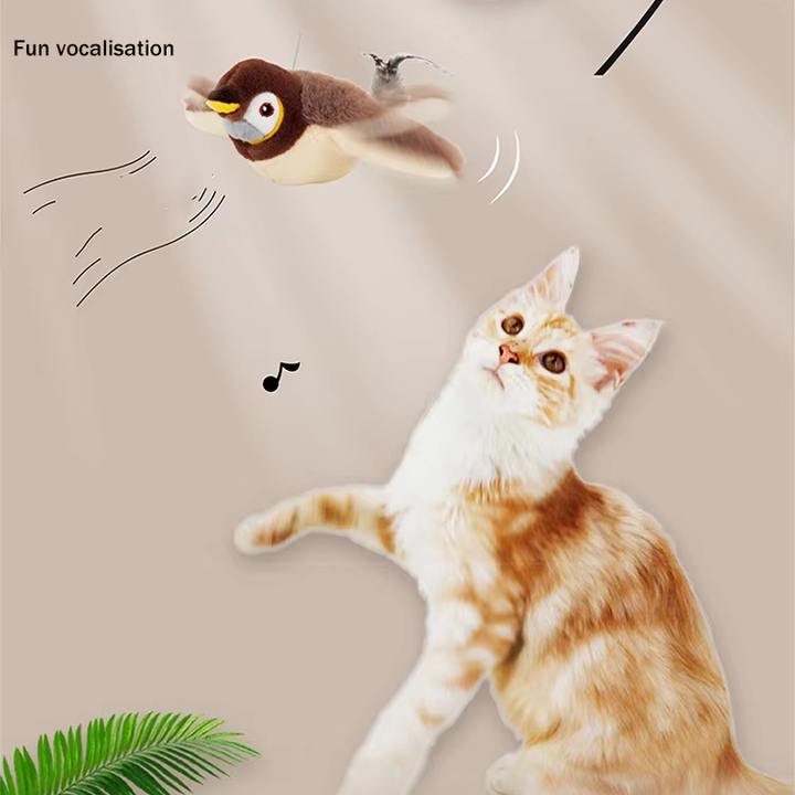 Diversión salvaje y natural para tu gato