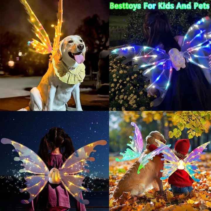DISFRAZ DE MARIPOSA 3D PARA TU MASCOTA