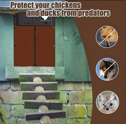 PUERTA AUTOMATICA DE GALLINERO