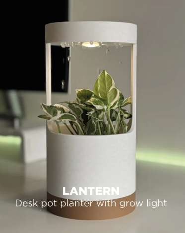 Maceta Inteligente con Luz LED y Sistema de Riego Automático